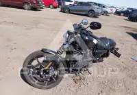 2019 Harley-Davidson XL883 фото