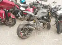 2019 Ducati Monster фото