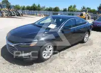 2019 Chevrolet Malibu фото