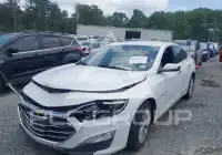 2019 Chevrolet Malibu photo