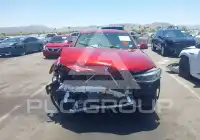 2019 BMW X4 фото