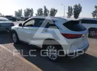 2019 Infinity QX50 photo