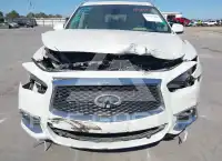 2019 Infinity QX60 photo
