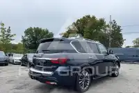 2019 Infinity QX80 photo