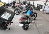 2019 Suzuki LS650 photo