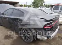 2019 Dodge CHARGER photo