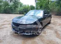 2019 Dodge CHARGER фото