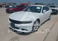 2019 Dodge CHARGER фото
