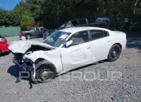 2019 Dodge CHARGER фото