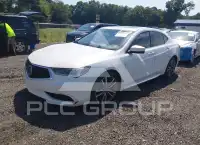 2019 Acura TLX фото