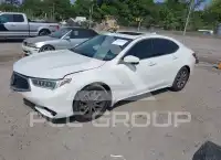 2019 Acura TLX фото