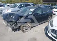 2019 Acura TLX photo