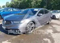 2019 Acura TLX photo