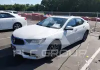 2019 Acura TLX фото