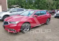 2019 Acura TLX photo