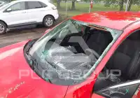 2019 Honda CIVIC photo