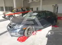 2019 Honda CIVIC photo