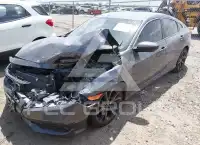 2019 Honda CIVIC фото