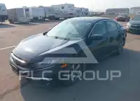 2019 Honda CIVIC photo