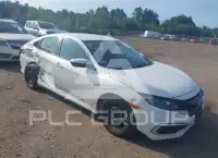 2019 Honda CIVIC photo