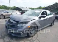 2019 Honda CIVIC фото
