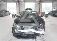 2019 Honda CIVIC photo