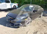 2019 Honda CIVIC фото