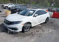 2019 Honda CIVIC photo