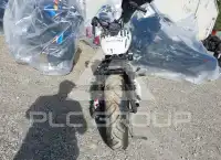 2019 Honda VT750 photo