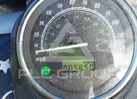 2019 Honda VT750 photo