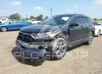 2019 Honda CR-V фото