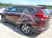 2019 Honda CR-V фото