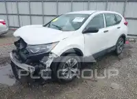2019 Honda CR-V фото