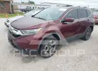 2019 Honda CR-V фото