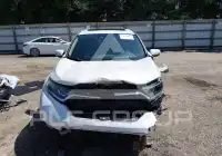 2019 Honda CR-V фото
