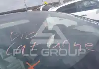 2019 Honda CR-V фото