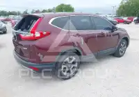 2019 Honda CR-V фото