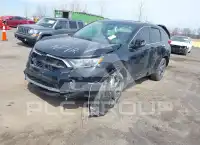 2019 Honda CR-V фото