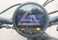 2019 Honda CMX500 фото