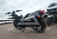 2019 Honda CMX500 фото