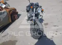 2019 Honda CMX500 photo