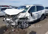 2019 Honda PILOT фото