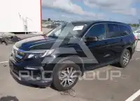2019 Honda PILOT фото