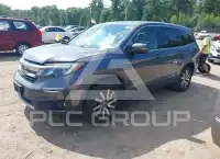 2019 Honda PILOT фото
