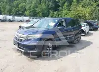 2019 Honda PILOT фото
