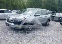 2019 Honda PILOT photo