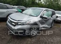 2019 Honda PILOT фото