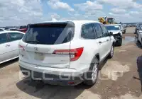 2019 Honda PILOT фото