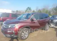 2019 Honda PILOT фото