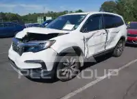 2019 Honda PILOT фото